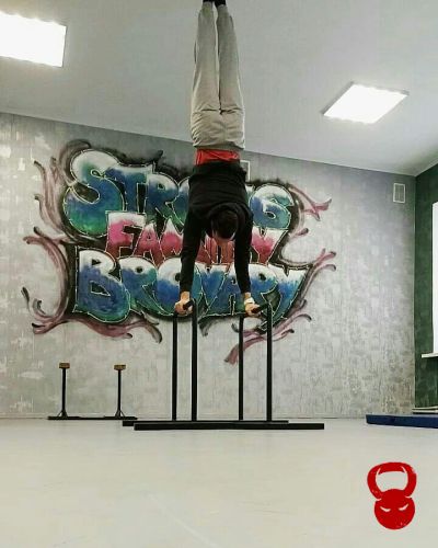 Спортивные брусья хайлетсы 